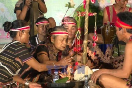 Народность Стьенг отмечает праздник нового риса