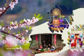 Жители всех регионов страны и вьетнамцы, проживающие за рубежом, радостно встречают весну года Лошади 2026 года