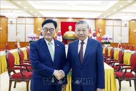 Генеральный секретарь То Лам проводит встречу с Председателем НС Республики Корея У Вон Шиком. (Фото: ВИА)