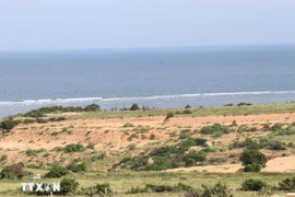 Место, выбранное для строительства атомной электростанции «Ниньтхуан-1», в общине Фыокдинь. (Фото: ВИА).