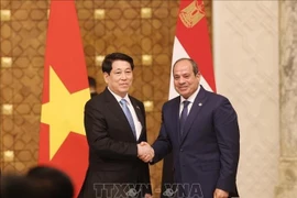Президент страны Лыонг Кыонг (слева) и президент Египта Абдель Фаттах Ас-Сиси. (Фото: ВИA)