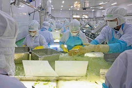 Производственная линия по переработке алоэ компании VietFarm. (Фото: ВИА)