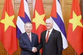 Генеральный секретарь Партии То Лам и Первый секретарь, Президент Мигель Диас-Канель Бермудес сфотографируются перед переговорами. (Фото: ВИА)