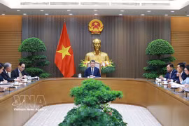 Премьер-министр Ле Минь Хынг проводит телефонный разговор с Премьер-министром Новой Зеландии Кристофером Лаксоном. (Фото: ВИА).