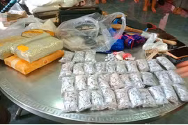 Синтетические наркотики и героин, изъятые по делу. (Фото: baothanhhoa.vn).