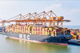 Судно MSC KALINA является крупнейшим контейнеровозом, когда-либо заходившим в район портовых причалов Лачхуен города Хайфон. (Фото: ВИА)