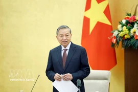 Генеральный секретарь То Лам выступает. (Фото: ВИА)