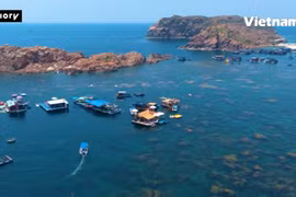 Погружение в «золотое море» Хонкхо: самый красивый сезон саргассума в Куйнёне