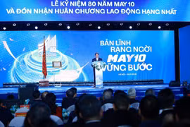 Премьер-министр Фам Минь Тьинь выступает. (Фото: ВИА)