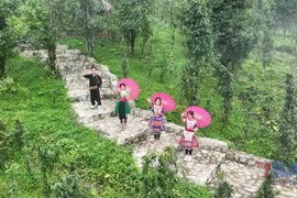 Плато Шинхо в провинции Лайтьяу