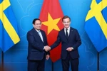 Премьер-министр Фам Минь Тьинь провёл переговоры с Премьер-министром Швеции Ульфом Кристерссоном (Фото: ВИА)