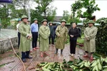 Заместитель премьер-министра Чан Хонг Ха посетил детский сад Нгалок в коммуне Чыонглыу в провинции Хатинь (Фото: ВИА)