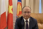 Посол Вьетнама во Франции Динь Тоан Тханг (Фото: ВИА)