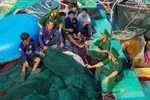 Офицеры и моряки пограничной охраны Чыонгша организуют пропаганду и распространение информации о законах среди рыбаков, постоянно помогая им выйти в море (Фото: ВИА)