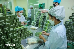 Производство продуктов на основе трав на фармацевтическом предприятии Lam Dong Pharmaceutical JSC. (Фото: ВИA)