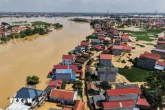 Наводнение, вызванное тайфуном «Матмо», нанесло ущерб на сумму свыше 8,72 трлн донгов; более 12 230 жилых домов остаются подтопленными. (Фото: ВИА)