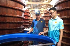 Бочки рыбного соуса «Фукуок Хуинь Кхоа». (Фото: ВИА) 