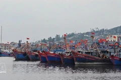 Участок акватории якорной стоянки судов в рыболовном порту Латьбанг провинции Тханьхоа. (Фото: ВИА) 