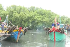 Провинция Донгтхап завершила регистрацию своего флота из 1505 рыболовных судов. (Фото: ВИA)