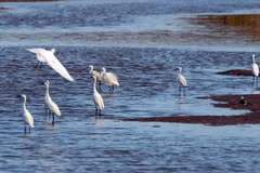 Национальный парк Суантхюи - парк наследия АСЕАН