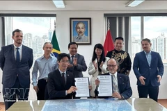 Делегаты на церемонии подписания меморандума о взаимопонимании (MoU) между Торговой палатой «Бразилия – Вьетнам» (BVC) и отделением штата Эспириту-Санту Бразильско-вьетнамской торгово-промышленной палаты (CCBV-ES). (Фото: Посольство Вьетнама в Бразилии) 