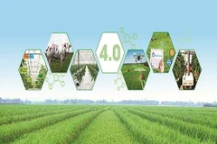 Вьетнамским агропромышленным предприятиям необходимо создать условия для устойчивого экологического развития