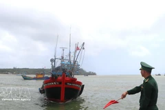 Пограничник требует от рыболовного судна пришвартоваться для проверки журнала его входа и выхода из порта. Фото: ВИА. 