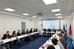 Вьетнамская делегация проводит прямые переговоры с представителями французских предприятий при содействии Движения предприятий Франции (MEDEF). Фото: ВИА. 