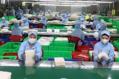 Рабочие сортировали рисовую бумагу на предприятии Tan Nhien Co. Ltd. в провинции Тайнинь. (Фото: ВИA)