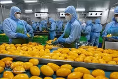 Работники предприятия по переработке пищевой продукции в провинции Донгнай. (Фото: ВИА) 