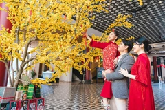 Фестиваль Нового года в Дананге 2026 года пройдёт с 30 декабря 2025 года по 3 января 2026 года. (Источник: Департамент культуры, спорта и туризма Дананга) 