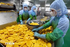 Переработка сельскохозяйственной продукции на экспорт (Фото: ВИA)