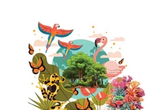 11 всемирных биосферных заповедников во Вьетнаме