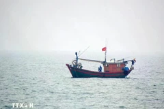 Вьетнамское рыболовное судно, работающее в северных водах Тонкинского залива. (Фото: ВИA)