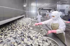 Работники перерабатывают сельскохозяйственную продукцию на предприятии Coastal Fisheries Development Company (Cofidec) в городе Хошимине. (Фото: ВИА) 