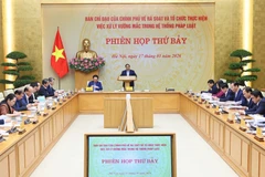 Законотворчество в целях развития носит фундаментальный, стратегический и долгосрочный характер