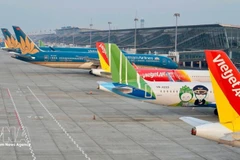 Самолеты вьетнамских авиакомпаний в Международном аэропорту Нойбай. (Фото: ВИА) 