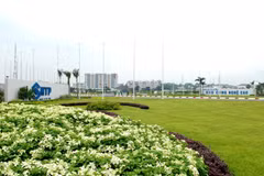 (Источник shtp.hochiminhcity.gov.vn)