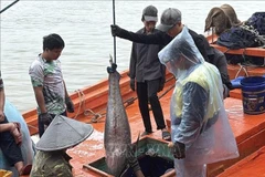 Иллюстративное изображение. (Фото: ВИА) 