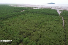 Иллюстративное изображение. (Фото: ВИА)