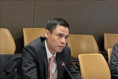 Заместитель министра иностранных дел Данг Хоанг Зянг. (Фото: ВИА) 