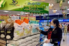 Женщина делает покупки в отделе вьетнамских товаров супермаркета Co.opmart Ly Thuong Kiet в Хошимине. (Фото: ВИА) 
