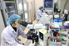 Иллюстративное изображение. (Фото: ВИА)