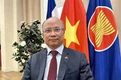 Посол Вьетнама во Франции Динь Тоан Тханг (Фото: ВИA)