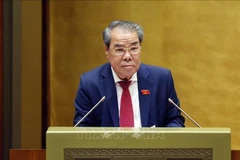 Председатель петиционного Комитета Национального собрания Зыонг Тхань Бинь представляет доклад. (Фото: ВИА)