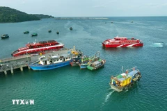 Куангнинь вновь подтвердил свою приверженность решительным действиям против ННН-промысла, внося вклад в национальную цель Вьетнама — снятие «жёлтой карточки» Европейской комиссии. (Фото: ВИА)