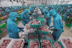 В первой половине 2025 года экспорт рыбных продуктов составил 5,16 млрд долларов США, что на 16,9% больше, чем за аналогичный период прошлого года. (Фото: ВИA)