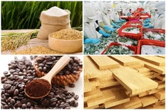 Экспорт сельскохозяйственной, лесной и рыбной продукции увеличился на14,3%