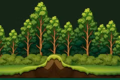  В 2025 году общая площадь лесов по всей стране превысила 14,97 млн га