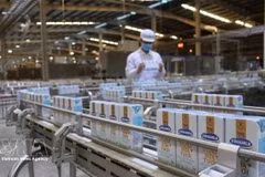 Производственная линия молочной продукции компании Vinamilk. (Фото: ВИА) 